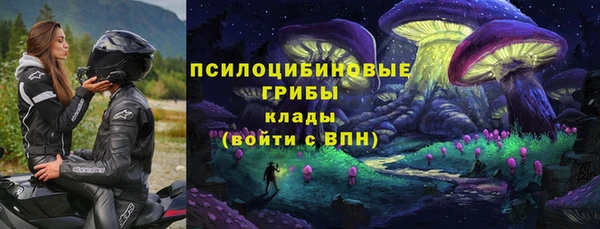 jwh Алзамай