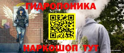 гашик Рыбинск