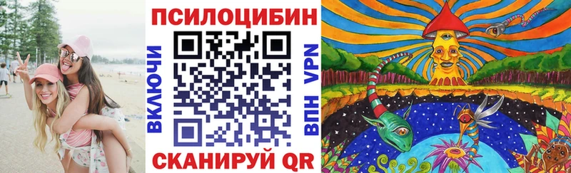 что такое Саянск Псилоцибиновые грибы Cubensis