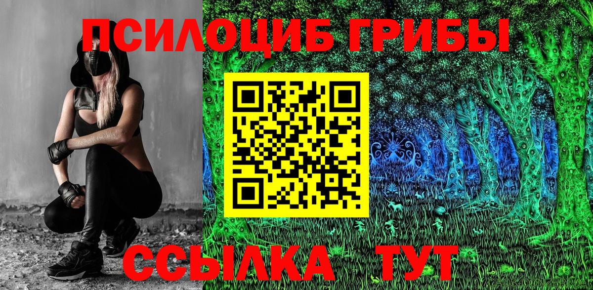 Псилоцибиновые грибы Magic Shrooms  дарнет шоп  Саянск  Вход с VPN 