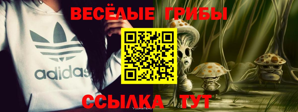 Псилоцибиновые грибы Psilocybe Саянск
